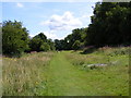 TL2302 : Hertfordshire Way footpath  near Furzefield Wood by Geographer