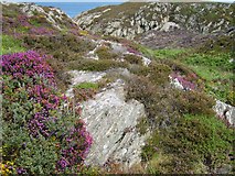 SH4593 : Rock outcrops between Llam Carw point and Aber Cawell by Eric Jones