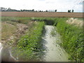 Dyke in Graveney Marshes