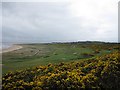 Royal Dornoch Golf Club