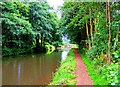 Godalming Navigation looking south