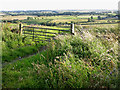 View over Stockerley Burn