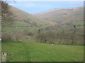 Looking towards Cwm Llygoed