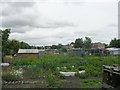 Allotments - York Road