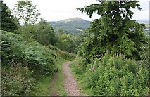 SO7641 : Path down from Pinnacle Hill by Bob Embleton