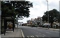 Bus shelter in Goldsmith Avenue