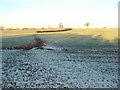 Footpath to Wigston