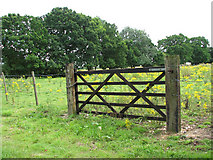 TG3107 : Gate into pasture by Surlingham Staithe by Evelyn Simak