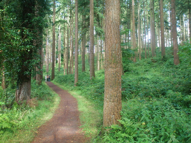 Knockmany Forest