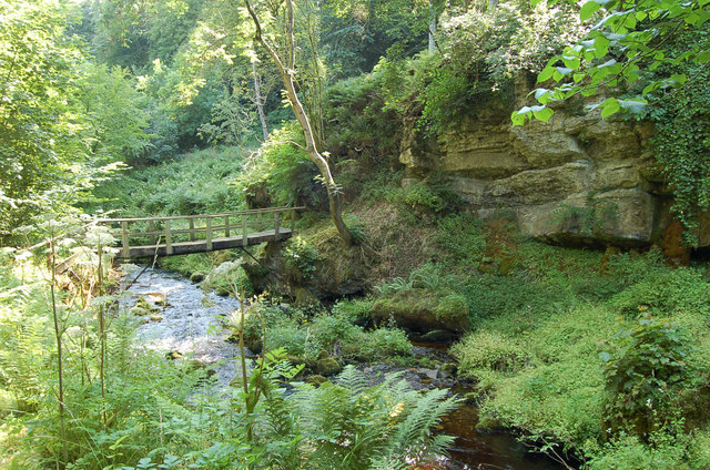 Limestone outcrop, N Esk © Jim Barton cc-by-sa/2.0 :: Geograph Britain ...