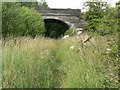 Overgrown railway trackbed