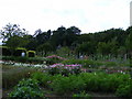 The Kitchen Garden Chartwell