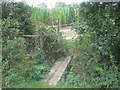 Footpath junction in Buckman Green Farm