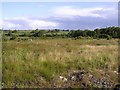 Moneendogue Townland