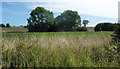 Fields near Earl Stonham