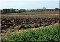 Large field by Fen Lane