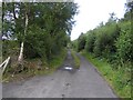 G8355 : Road at Rosfriar by Kenneth  Allen