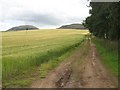 Farm track, Glenlomond