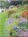 ST1776 : Bute Park, Flower Beds by Colin Smith