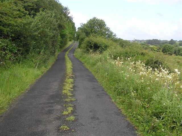 Road at Gubnacreeny