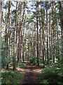 Footpath from Old Guildford Road to Deepcut Bridges