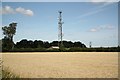 Leadenham Heath transmitter mast