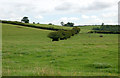 Pasture east of A423 south of Princethorpe