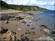 NH7459 : Shore of the Moray Firth near Scart Craig by Julian Paren