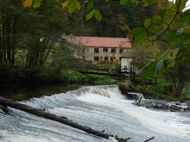 Weir in Nidd Gorge