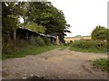 Old farm buildings along Shaftenhoe End Road