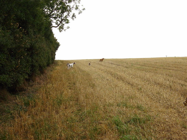 Fields near Oadby