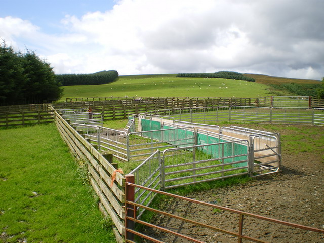 Sheep pens on the forest corner © Richard Law cc-by-sa/2.0 :: Geograph ...