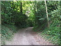 Bridleway NE of Windlesham House School