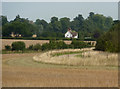 Isolated house