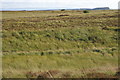 Moorland near Tullymurdoch