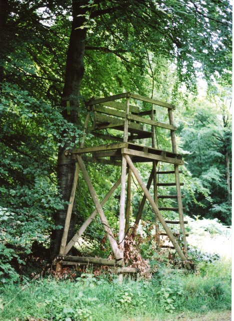 Hunter's High Seat - Savernake Forest