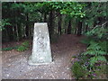 Christchurch: trig point on Blackwater Hill