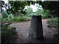 Christchurch: Blackwater trig point from in the trees