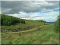NH4099 : Track and forest clearing in the north west corner of Strath Oykel Forest by ian shiell