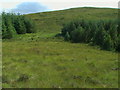 NH4099 : Forest break west of spot 279 in north-west corner of Strath Oykel Forest by ian shiell