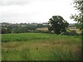 Root crop, Kimbolton