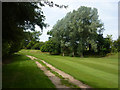 Footpath across the golf course