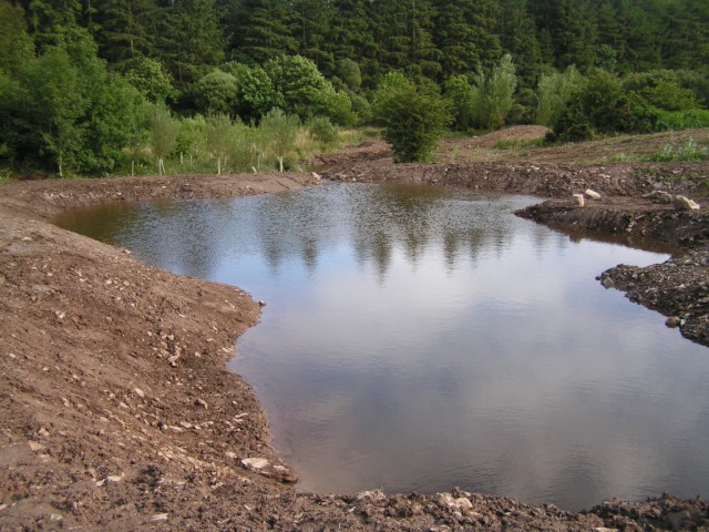 New pondworks at Taliesin