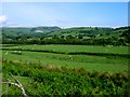 Afon Dyfi valley near Rhydygwiail