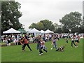 Three-legged Race at the Long Marston Village Show, 2009