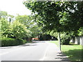 Looking up Tebourba Road towards The Avenue