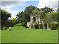 Ruins of Usk Castle