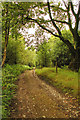 Footpath at Dalton Lees