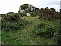 Carn Llys from Ffyst Samson