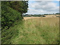 TQ9144 : Footpath beside hedge to Honey Farm by David Anstiss